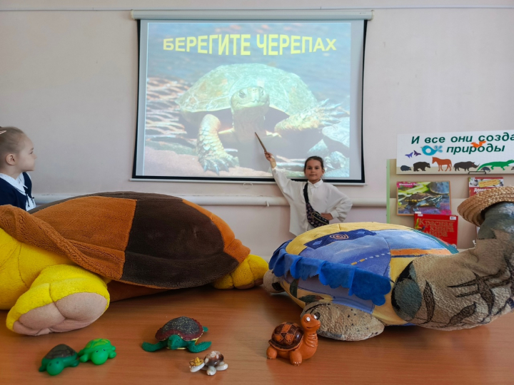 Всемирный день черепах