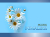Ромашки: мастер-класс